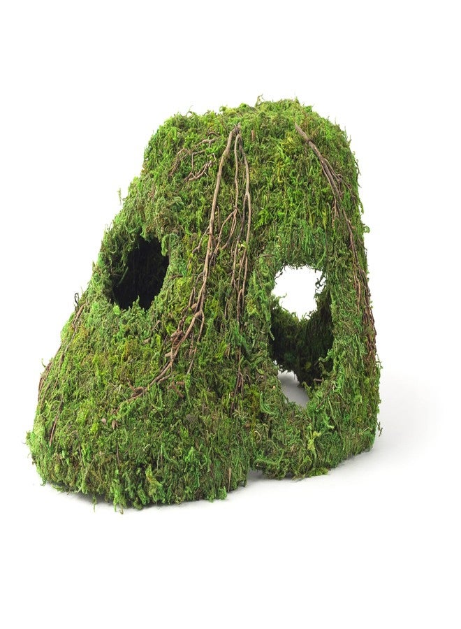 Galapagos Galápagos (05370) Mossy Sapa Corner Hide - The Perfect Reptile Hide for Security and Comfort - A Natural and Secure Hide for Reptiles, Amphibians, and Invertebrates, L10” x W5.5” x H4.5” - Image 1